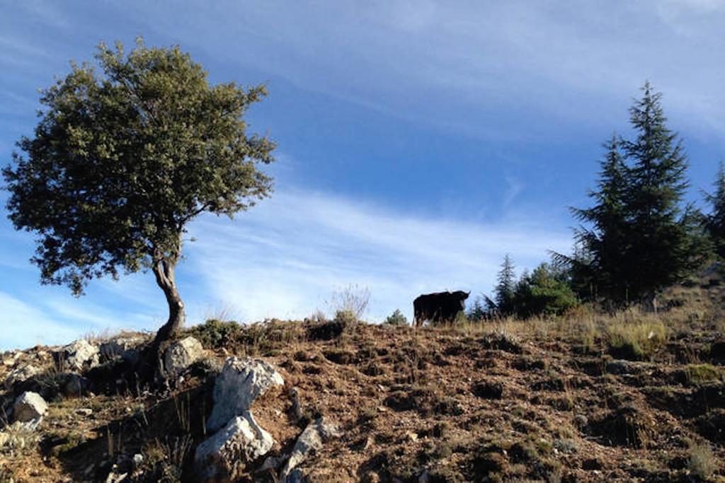 Telecabina las Catifas Guejar Sierra Luaran gambar