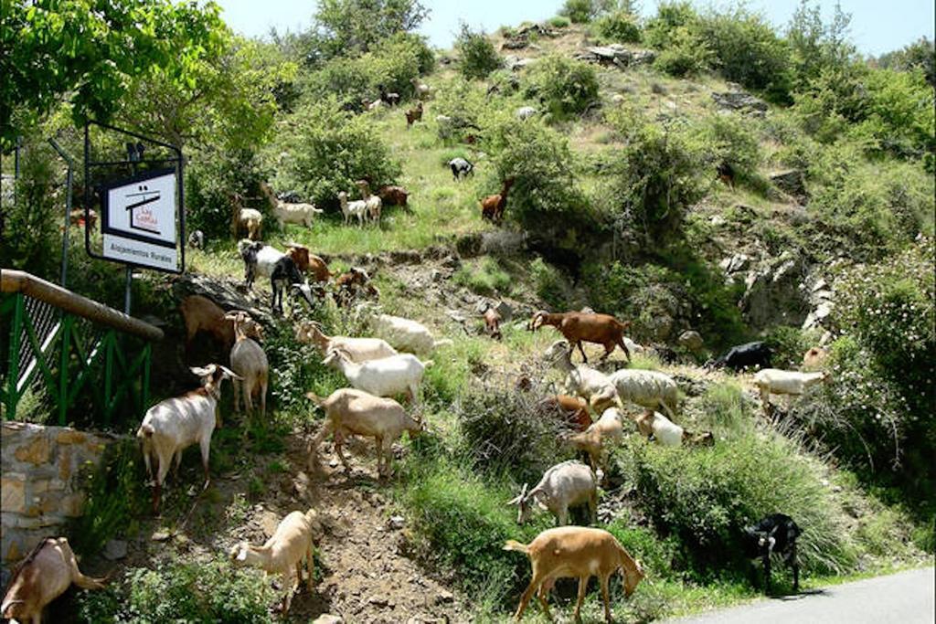 Telecabina las Catifas Guejar Sierra Luaran gambar